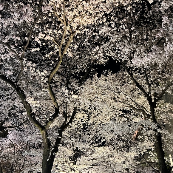 Meet your Posher, Lu - Picture 1 of 1